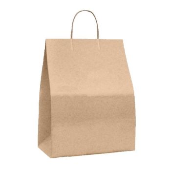 Tamper Evident Paper Bags - Peel & Seal